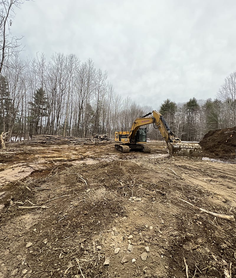 Excavator clearing site in a wooded area with overcast skies.
