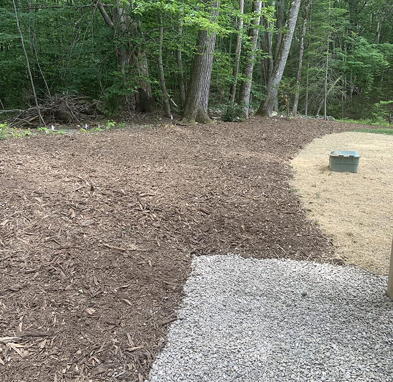 A well-maintained garden boundary with fresh mulch on one side and aggregate sales-inspired gravel on the other, adjoining a wooded area.